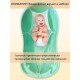 Горка-гамачок для купания новорожденных в детской ванночке длиной от 64 до 100 см модель 6904-7